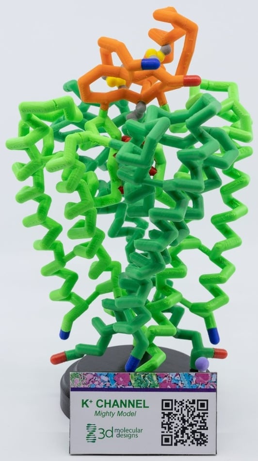 0D6A3846-scaled-1