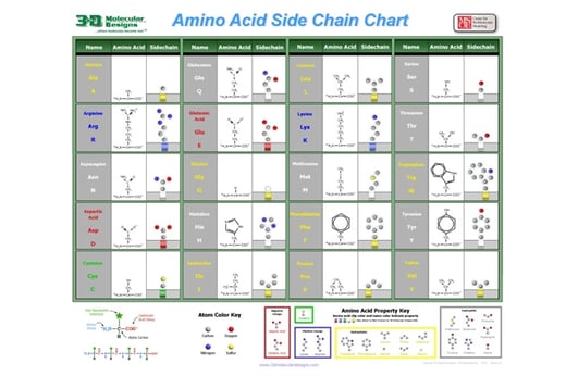 3DMDAASKSideChainChartPoster