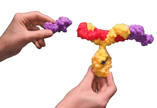 Antibody_Plastic_IMG_2604_white bkg