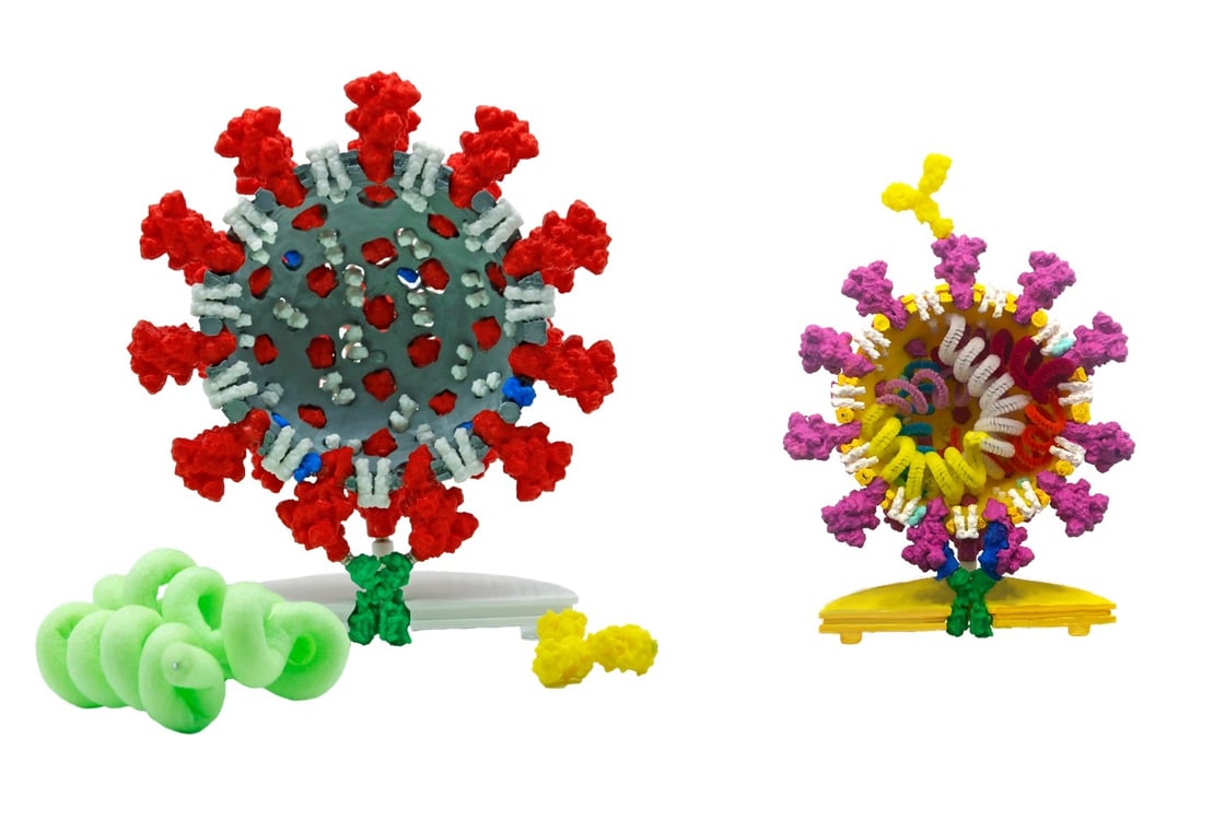 CoronavirusModels2-1