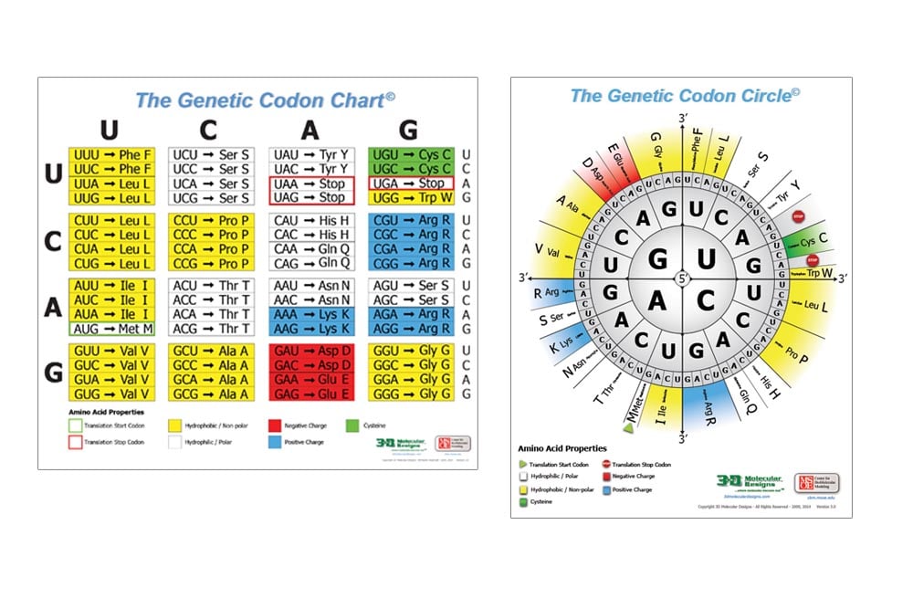 GeneticCodonPoster