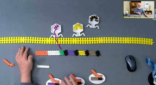 Genome Editing Thumbnail-1