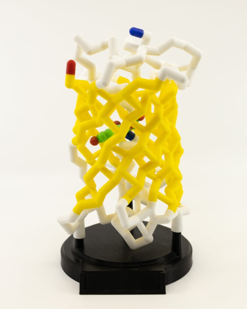Green Fluorescent Protein-1