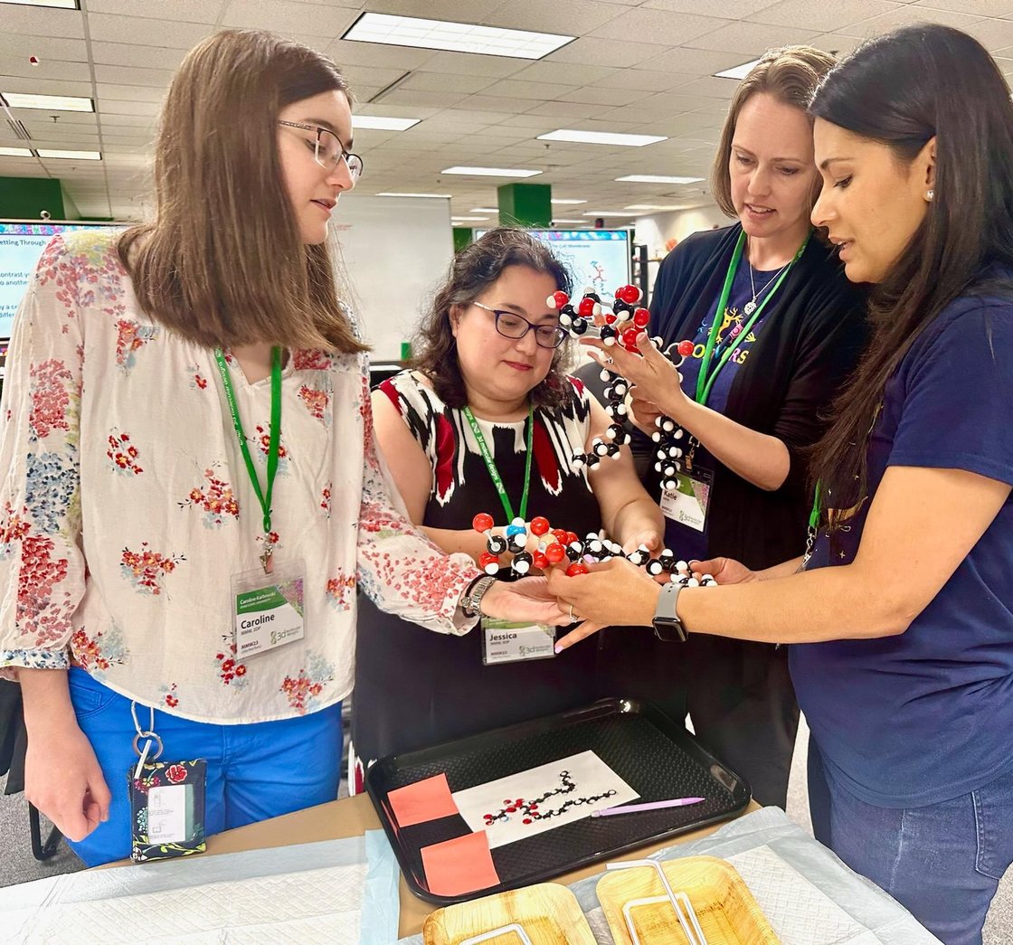 MMW 2023 - Modeling Phospholipids