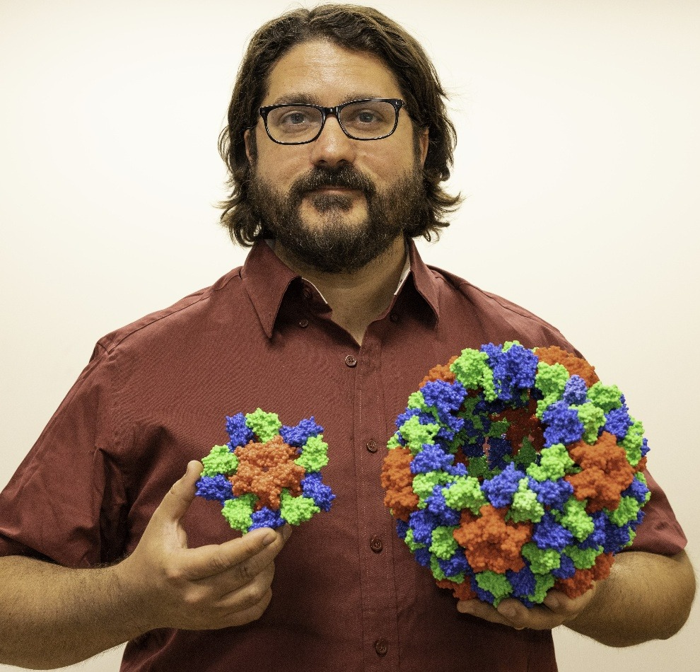 Mark with a Cucumber Virus Custom Model-1-1