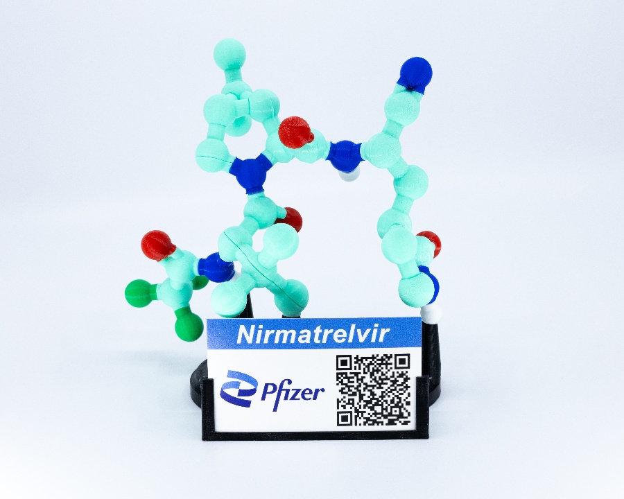 Pfizer Model - Nirmatrelvir-1