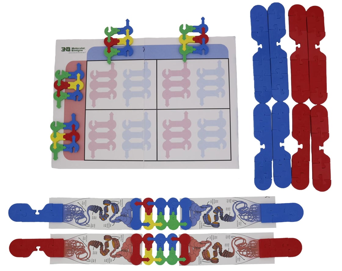 Chromosome Connections Kits 5