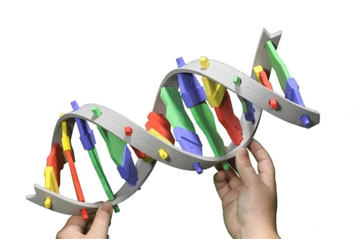 DNA Starter Kit 1