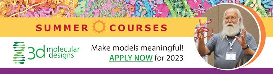 Summer Courses Banner Ad