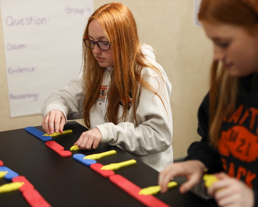 cck_A_teens_focused_anaphase-1