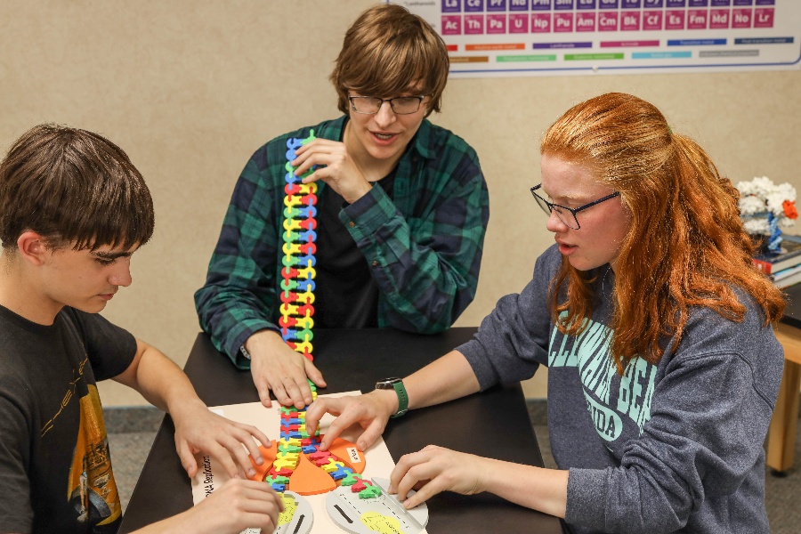 FGIK_A_teens_3_strands_replication-1